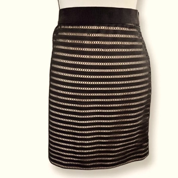 Ann Taylor Dresses & Skirts - Ann Taylor Black Striped Skirt